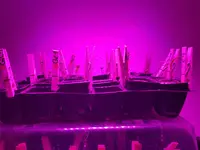 20191214_184619.jpg