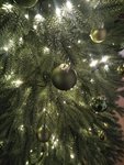 IMG_20191215_165552507.jpg