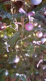 20191216_125229.webp