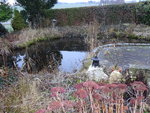 DSC00790.JPG