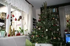 Dez.3716.webp