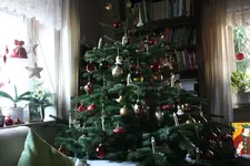 Dez.5917.webp