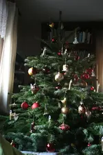Dez.6017.webp