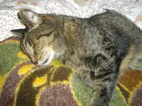 IMGP8488.webp