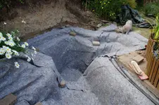 19845338689_7d10d9e0d7_k.webp