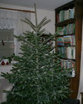 Christbaum0119.JPG