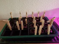 20191222_144416.webp