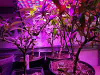 20191222_151633.webp
