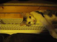 IMGP8500.webp