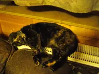 IMGP8497.webp