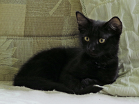 IMG_9284 v (2).webp