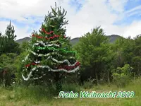 IMG_9316 v.webp