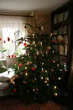 Dez.6819.webp
