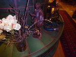 DSC00800.JPG