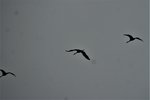 DSC08535.JPG
