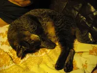 IMGP8527.webp