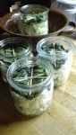 Fenchel im Glas.jpeg