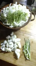 Fenchel.webp