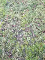 20191228_155125.webp