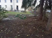 20191228_155207.webp