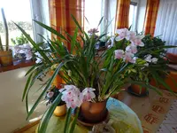 DSC00811.webp
