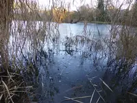 P1140980Teich.webp