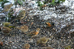 IMG_7072.jpg