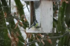 Jan.0613.webp