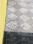 AD3A5074-AC10-483D-9288-8A110DDBCCA3.jpeg