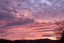 20-01-04_01a.webp