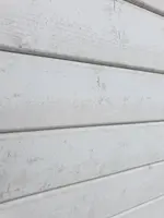 2020-01-05 12.06.24.webp