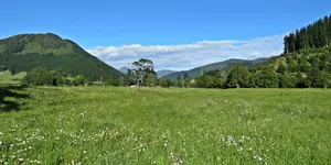 IMG_0236 v (2).webp