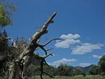 IMG_9877 - Copy.JPG