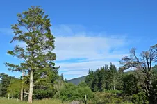 IMG_9898 v (2).webp