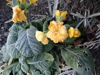 DSC05389 (2).webp