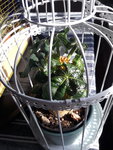 20190517_172633.jpg