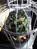 20190517_172633.webp