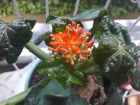 20190521_170305.webp