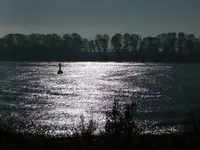 P1030238.webp