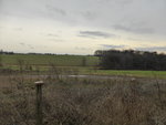 P1150060.JPG