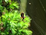 IMG_0439.JPG