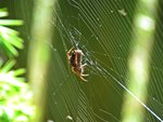IMG_0440.JPG