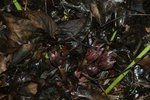 DSC08565.JPG