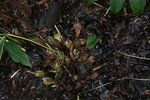 DSC08566.JPG