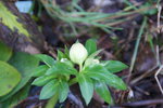 DSC08570.JPG