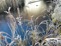 DSCN6314.webp