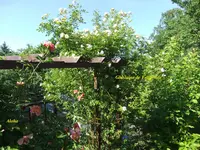 028.webp