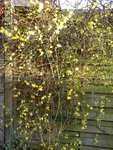 DSC05752.jpg