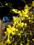 DSC05753.jpg