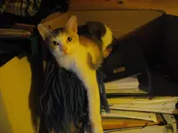 IMGP8572.webp